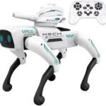 Next Product Image